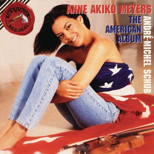 Album cover art for American Album