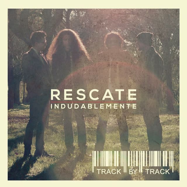 Album cover art for Indudablemente (Track by Track)