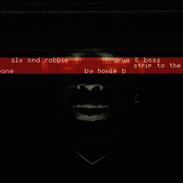 Album cover art for Drum & Bass Strip to the Bone by Howie B