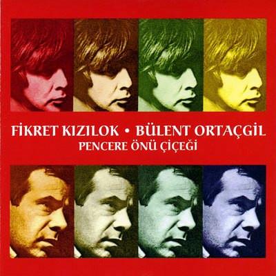 Album cover art for Pencere Önü Çiçeği