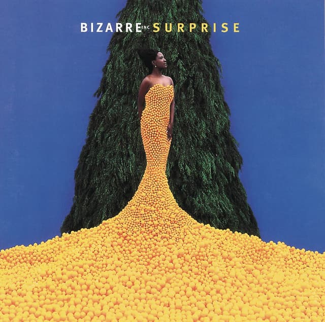 Album cover art for Surprise