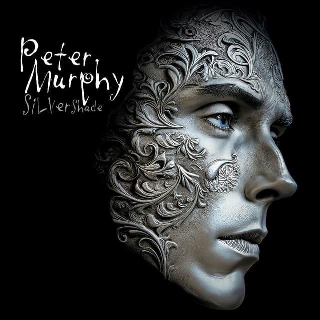 Album cover art for Silver Shade