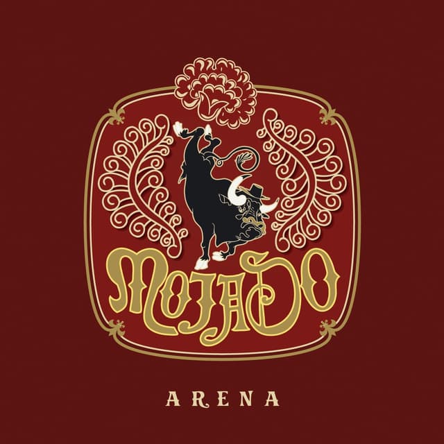 Album cover art for Arena