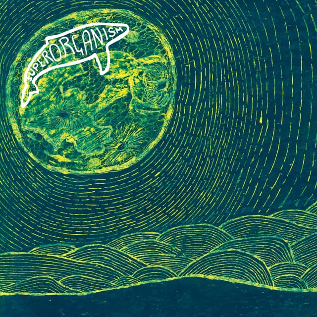 Album cover art for Superorganism