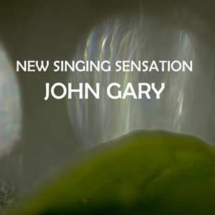 Album cover art for New Singing Sensation