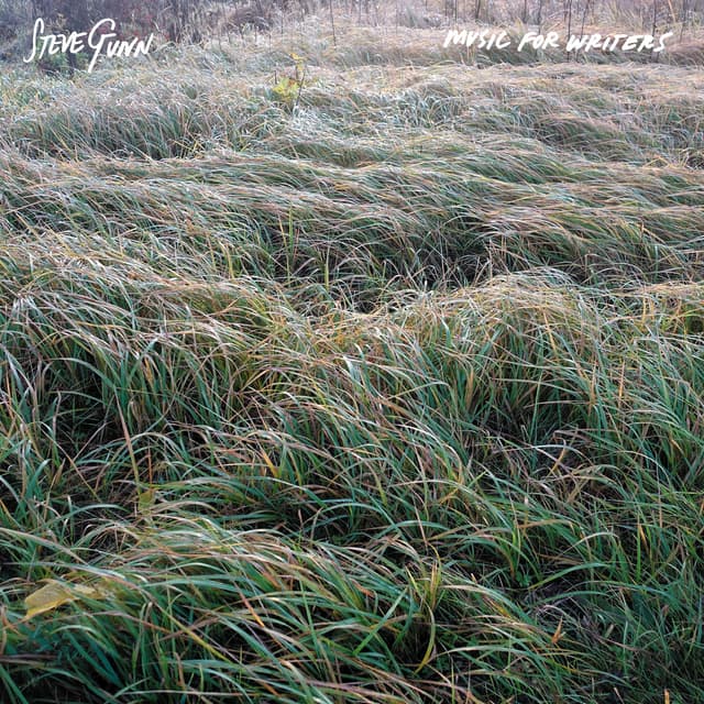 Album cover art for Music for Writers