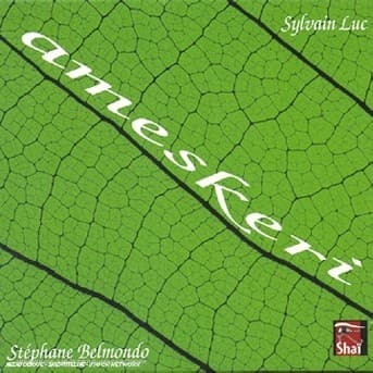 Album cover art for Ameskeri