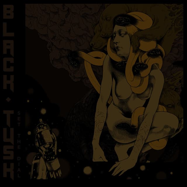 Album cover art for Set the Dial