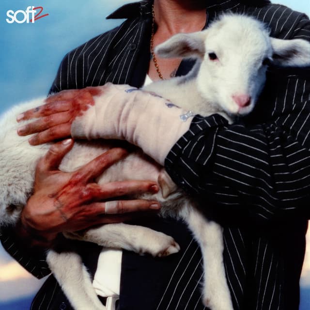 Album cover art for Soft 2