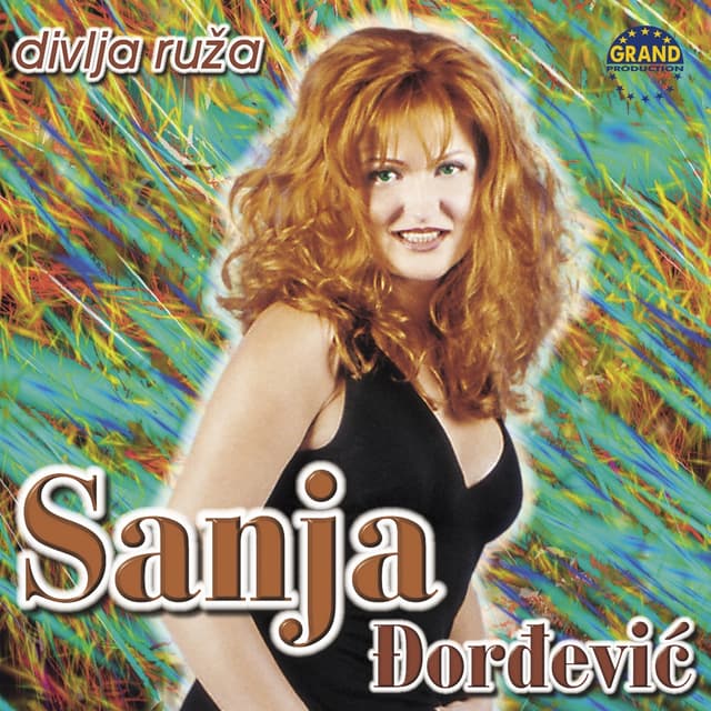 Album cover art for Divlja Ruža
