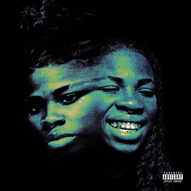 Album cover art for Double The Fun