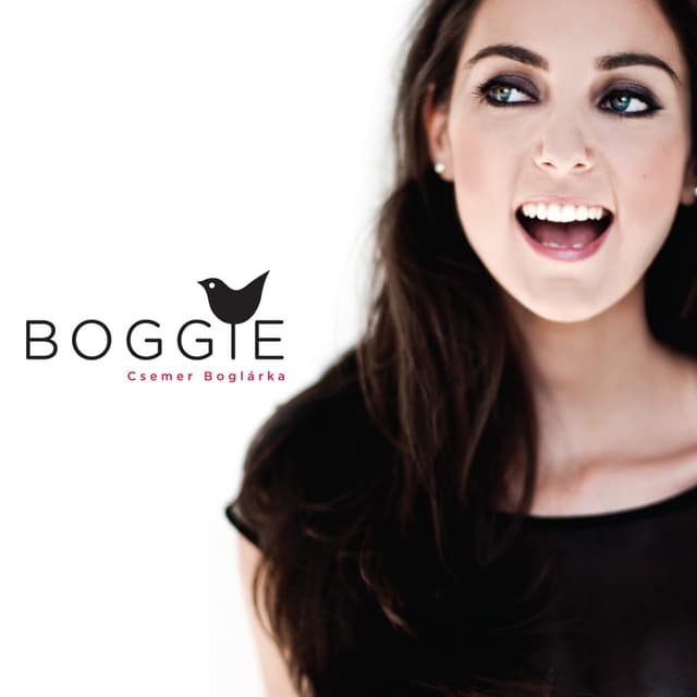 Album cover art for Boggie