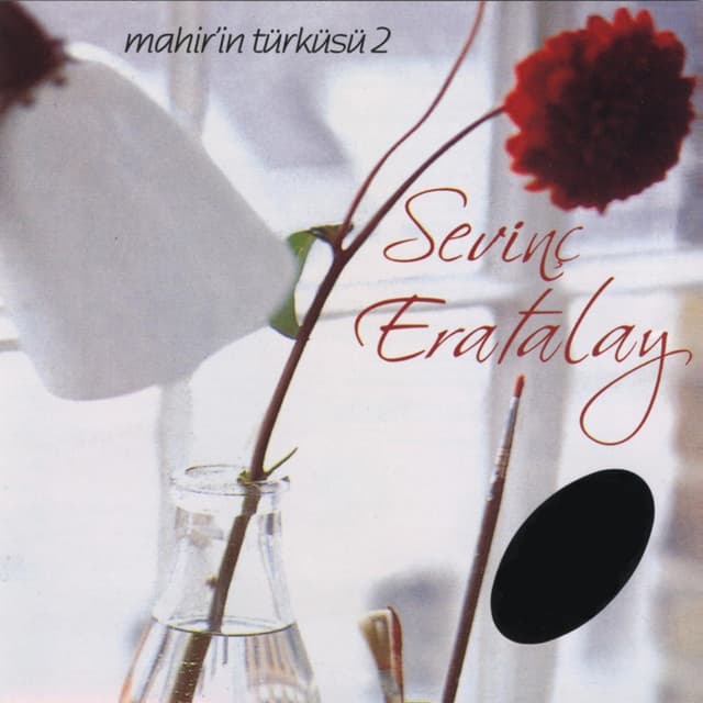 Album cover art for Mahir'in Türküsü 2