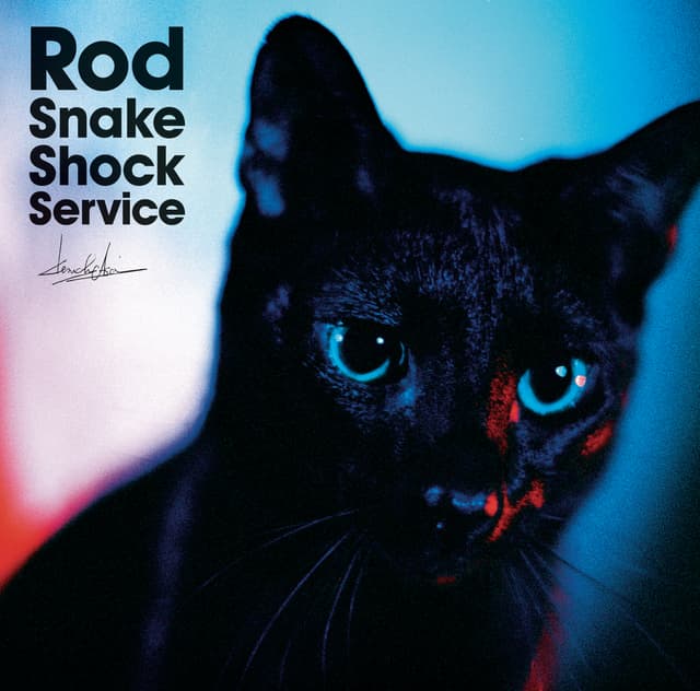 Album cover art for Rod Snake Shock Service