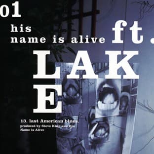 Album cover art for Ft. Lake