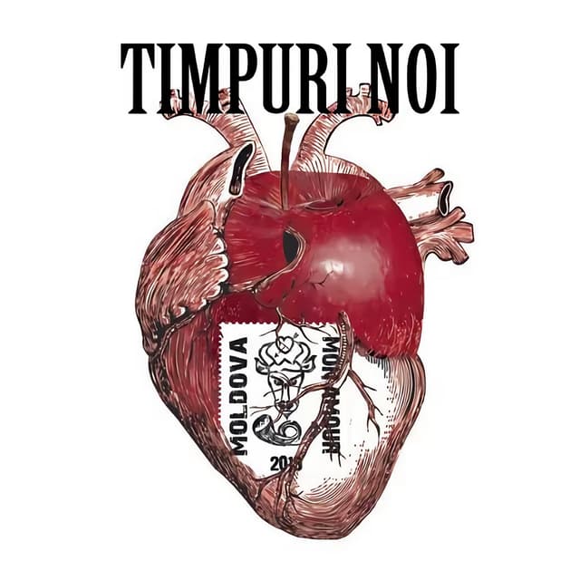 Album cover art for Moldova Mon Amour