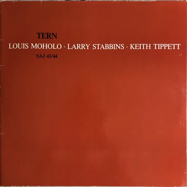 Album cover art for Tern