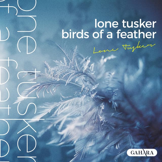Album cover art for Birds Of A Feather