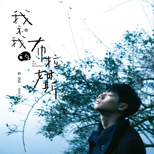 Album cover art for 我和我的布拉姆斯