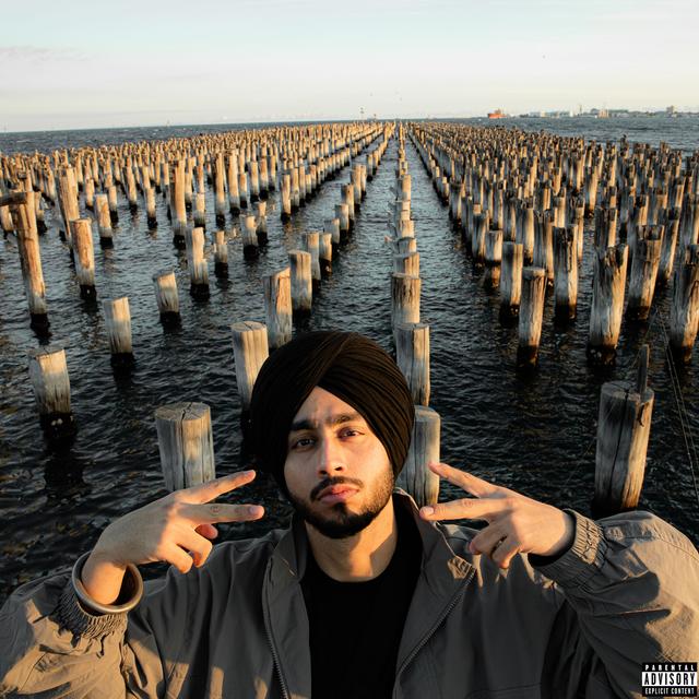 Album cover art for MVP