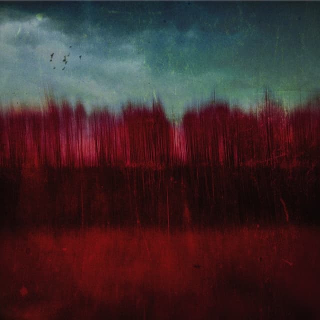 Album cover art for Colour Division