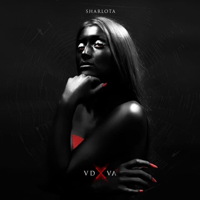 Album cover art for Vdova