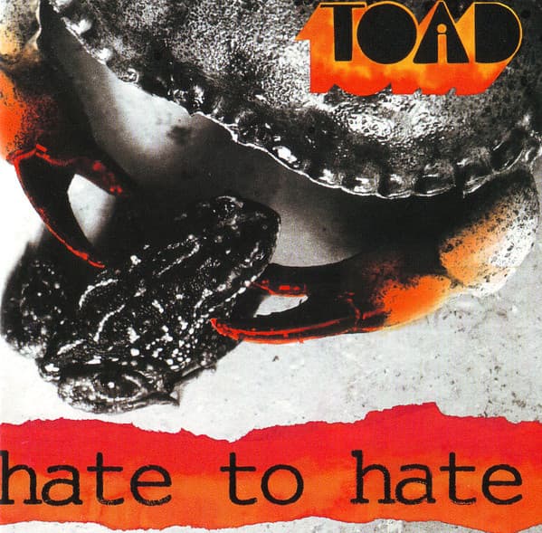 Album cover art for Hate to Hate
