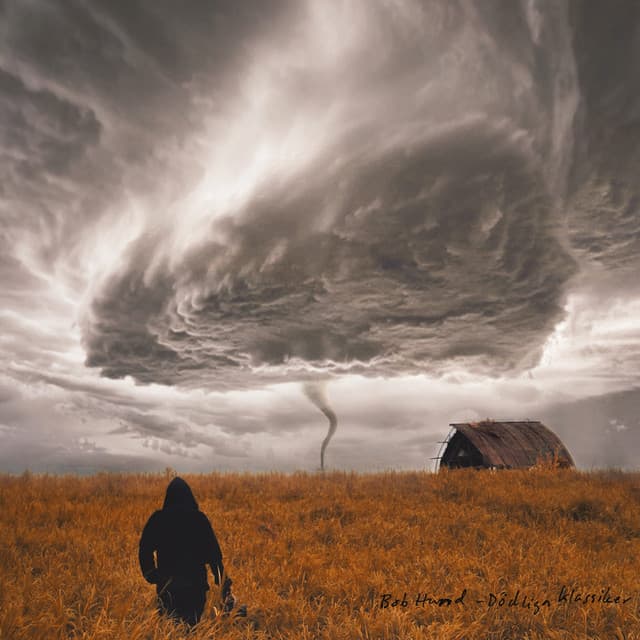 Album cover art for Ddliga Klassiker