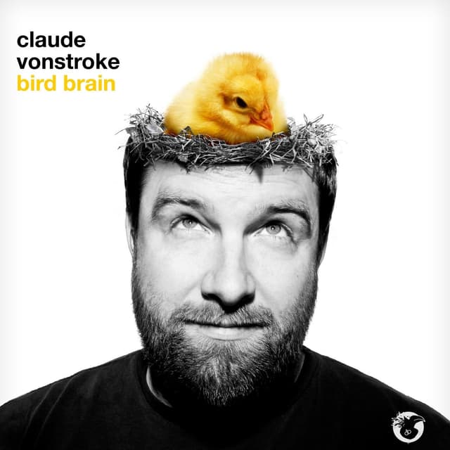 Album cover art for Bird Brain