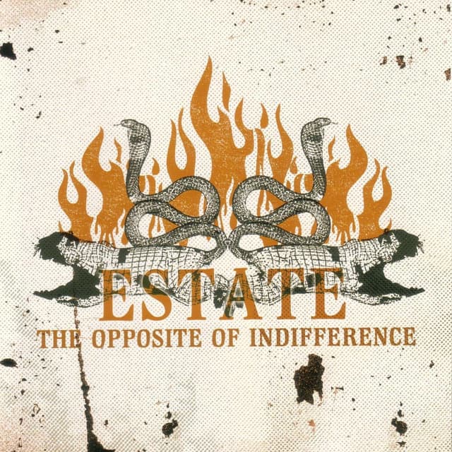 Album cover art for The Opposite of Indifference