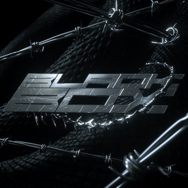 Album cover art for BLACK BOX