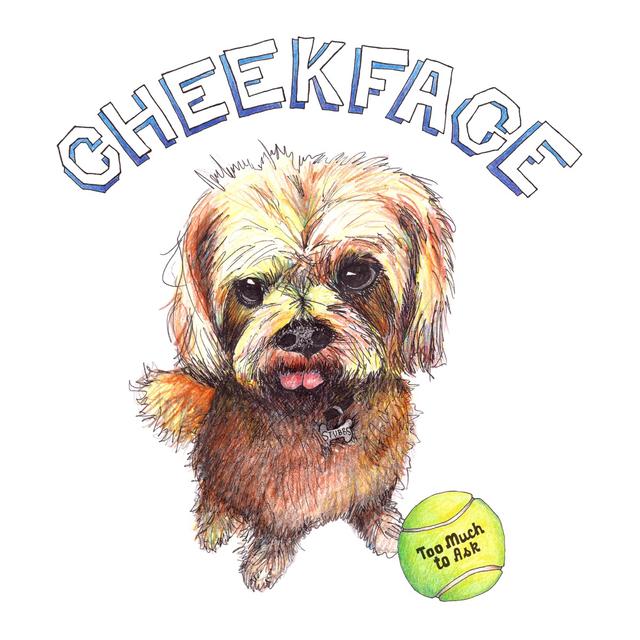Album cover art for Too Much to Ask