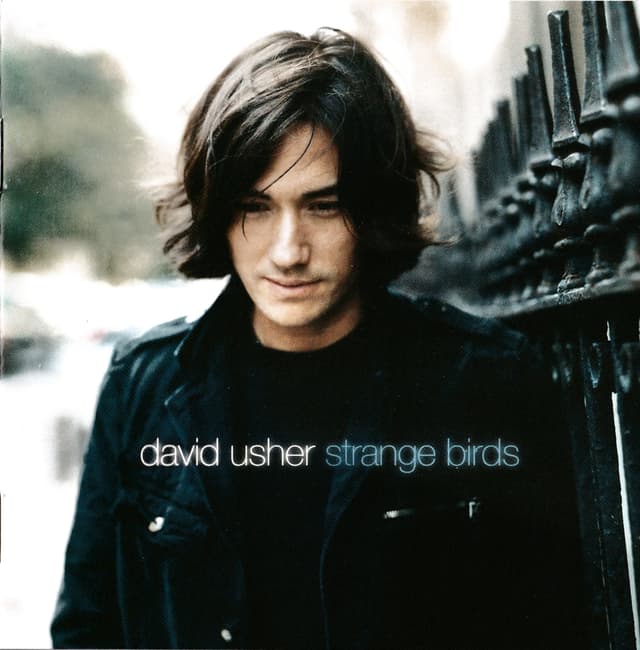 Album cover art for Strange Birds