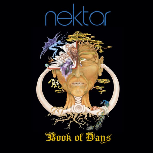 Album cover art for Book Of Days