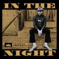 Album cover art for In the Night