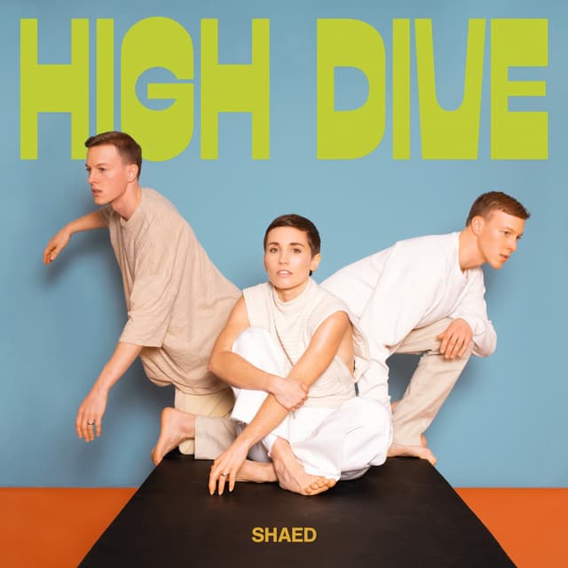 Album cover art for High Dive