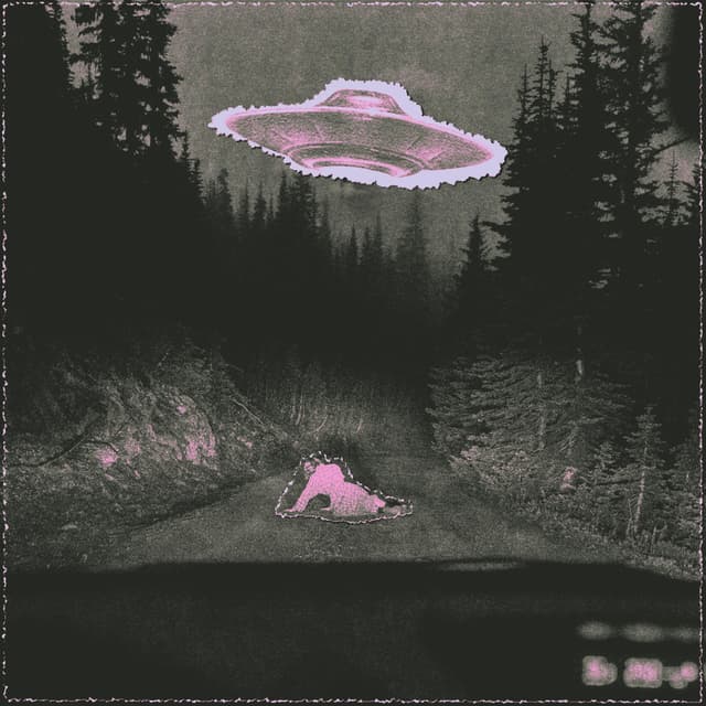 Album cover art for 2017