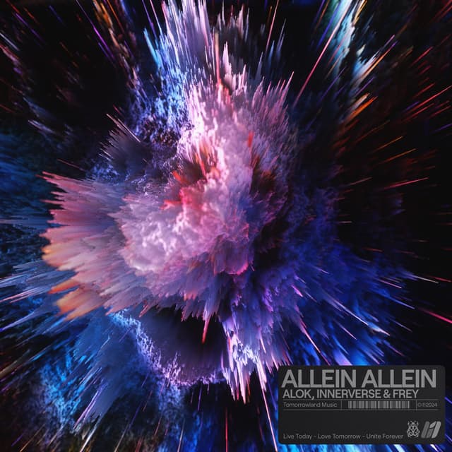 Album cover art for Allein Allein