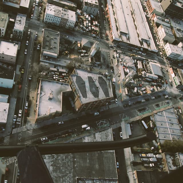 Album cover art for Dog Whistle