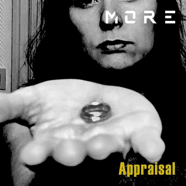 Album cover art for Appraisal