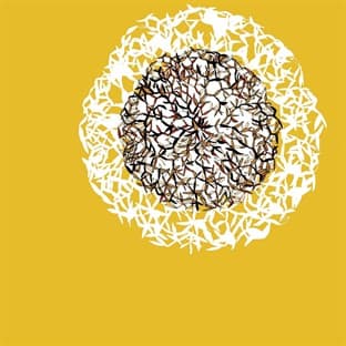 Album cover art for Lovers Prayers