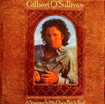 Album cover art for Stranger in My Own Backyard