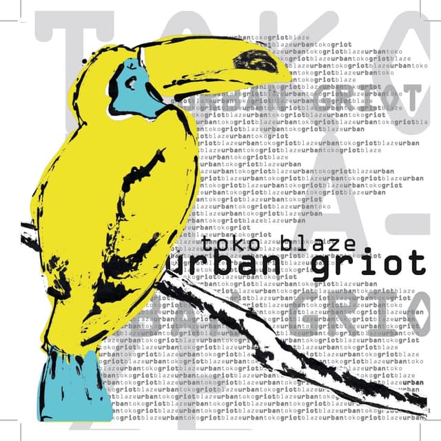 Album cover art for Urban Griot