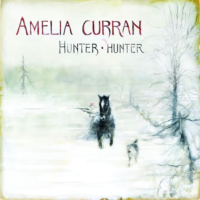 Album cover art for Hunter, Hunter