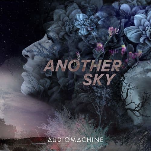 Album cover art for Another Sky