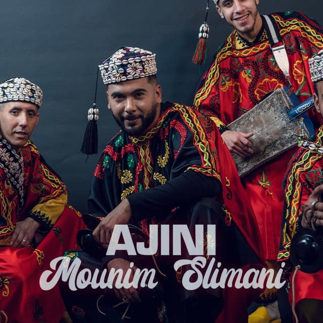 Album cover art for Ajini - Single
