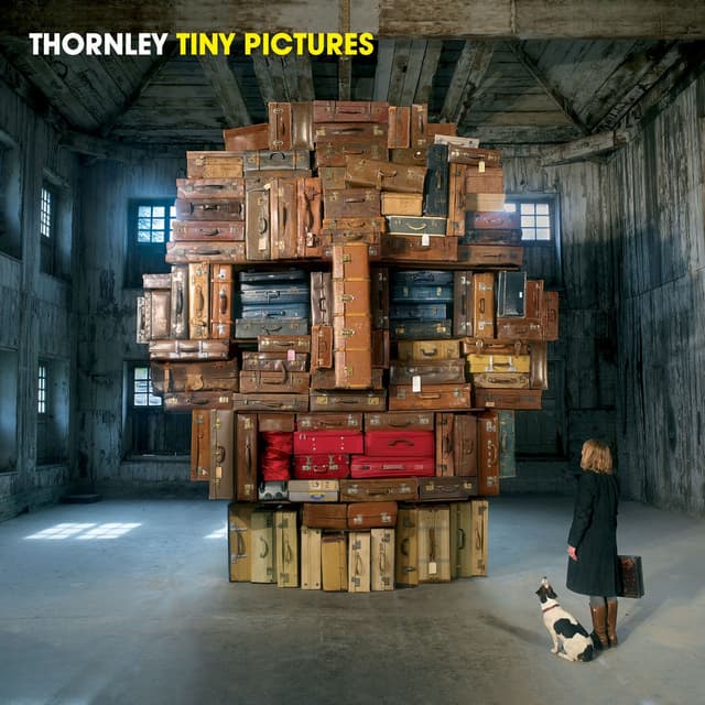 Album cover art for Tiny Pictures