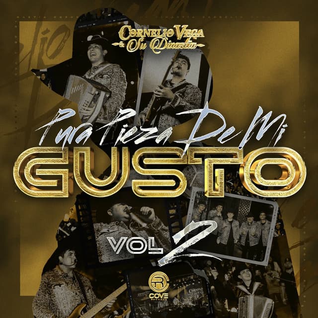 Album cover art for Pura Pieza De Mi Gusto, Vol. 2