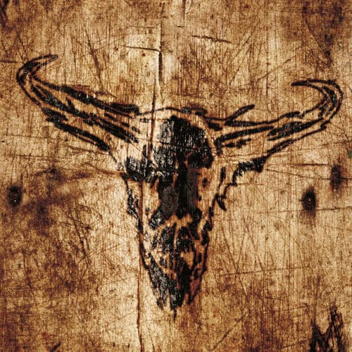 Album cover art for Southern Hostility