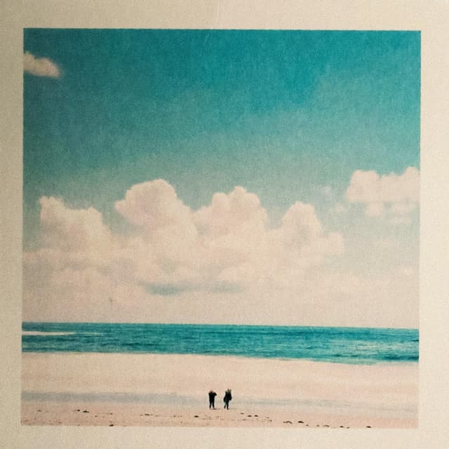 Album cover art for See You Later